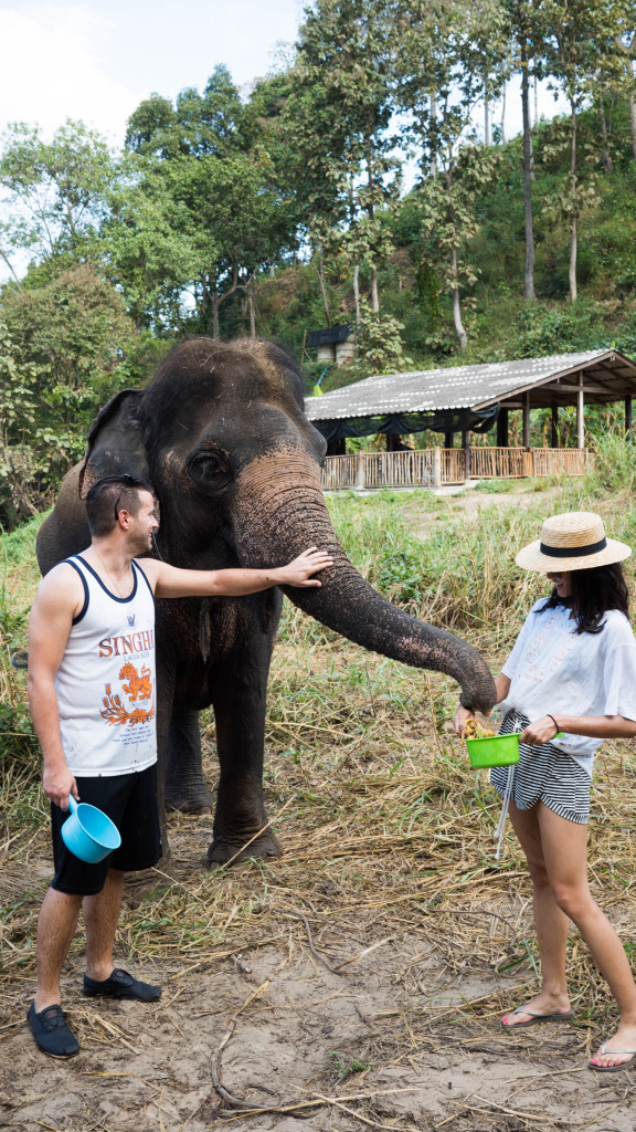 Elephant Nature Park, Chiang Mai, Thailand