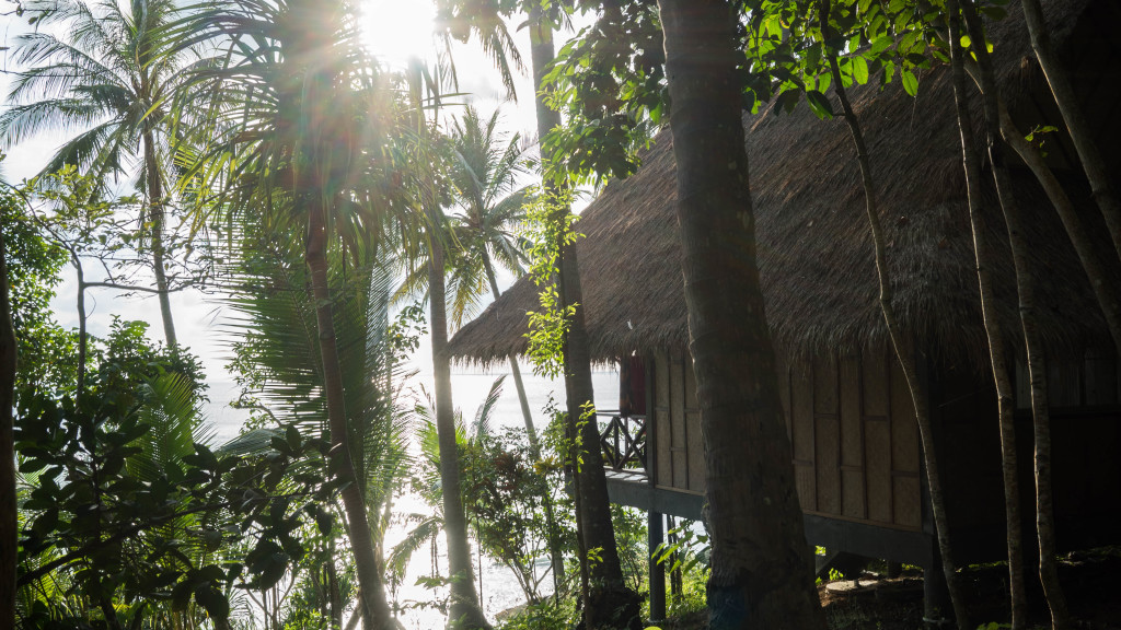 trees and ocean view for Travel Diary Thailand