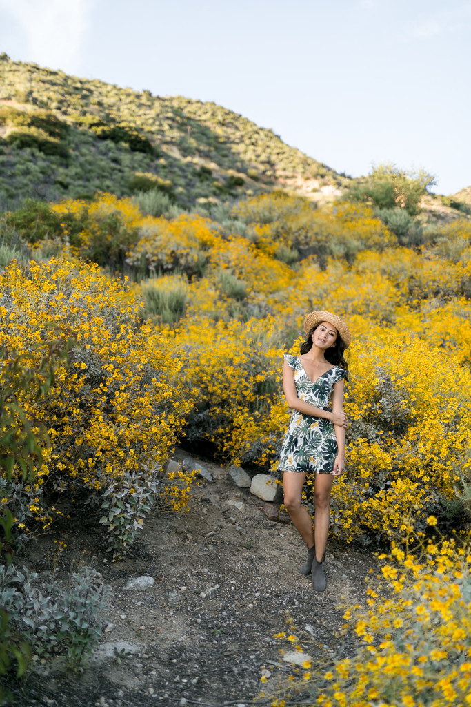 For Love & Lemons And UO Tropical Leaf Dress