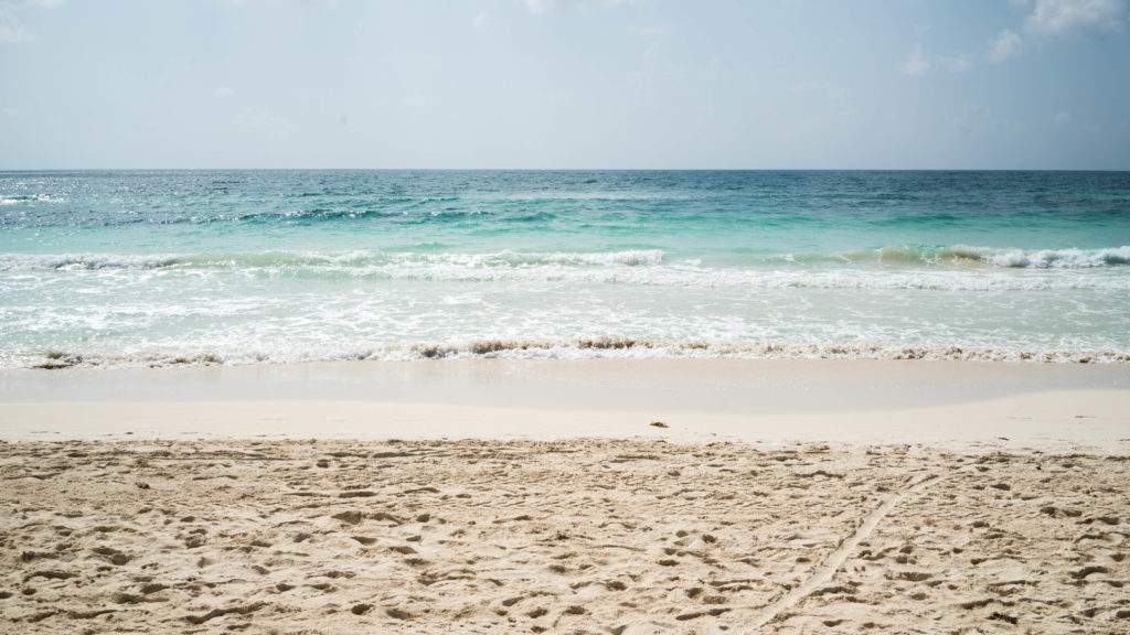 ocean and the shore for Tulum Travel Diary