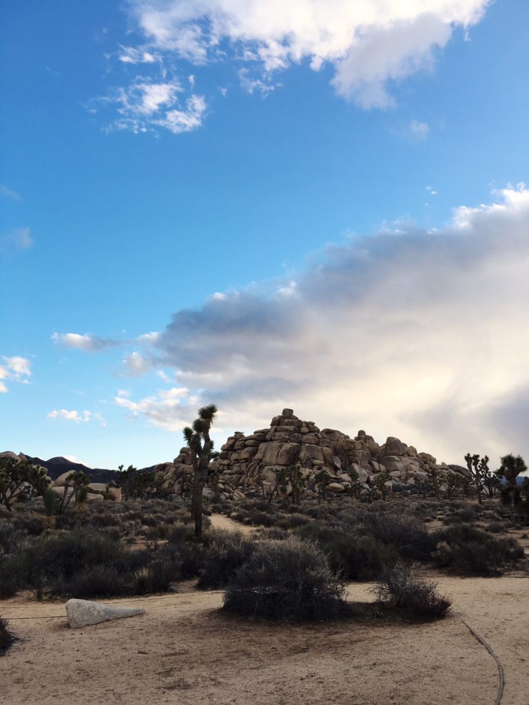 Joshua Tree National Park