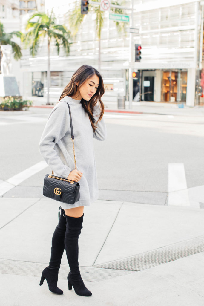 Lovers + Friends Sweatshirt Dress