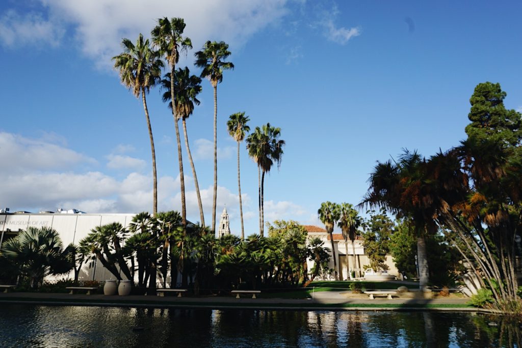 pond, palm trees, and buildings in 72 Hours in San Diego 