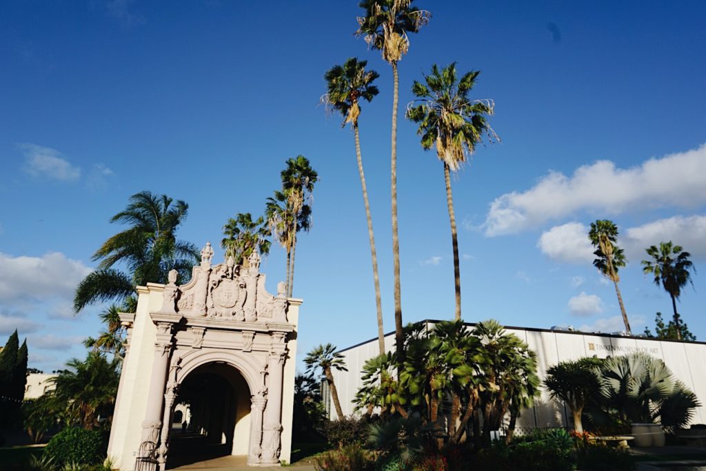 palm trees and sculpture in a garden