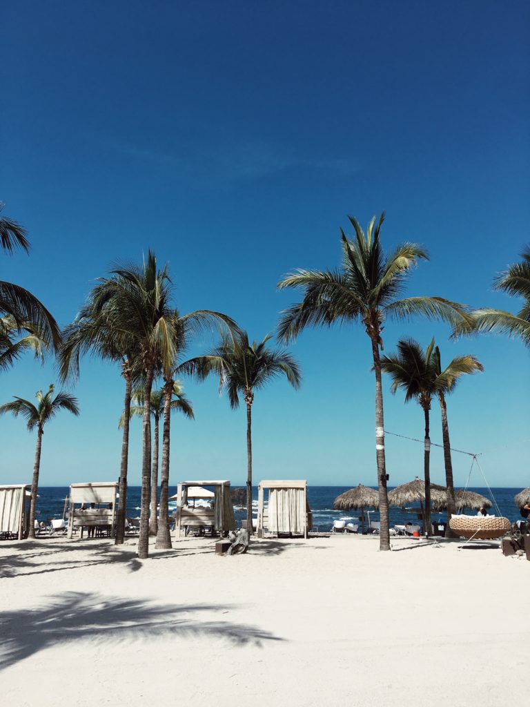 shore with coconut trees and cottages at Sayulita & Punta Mita 