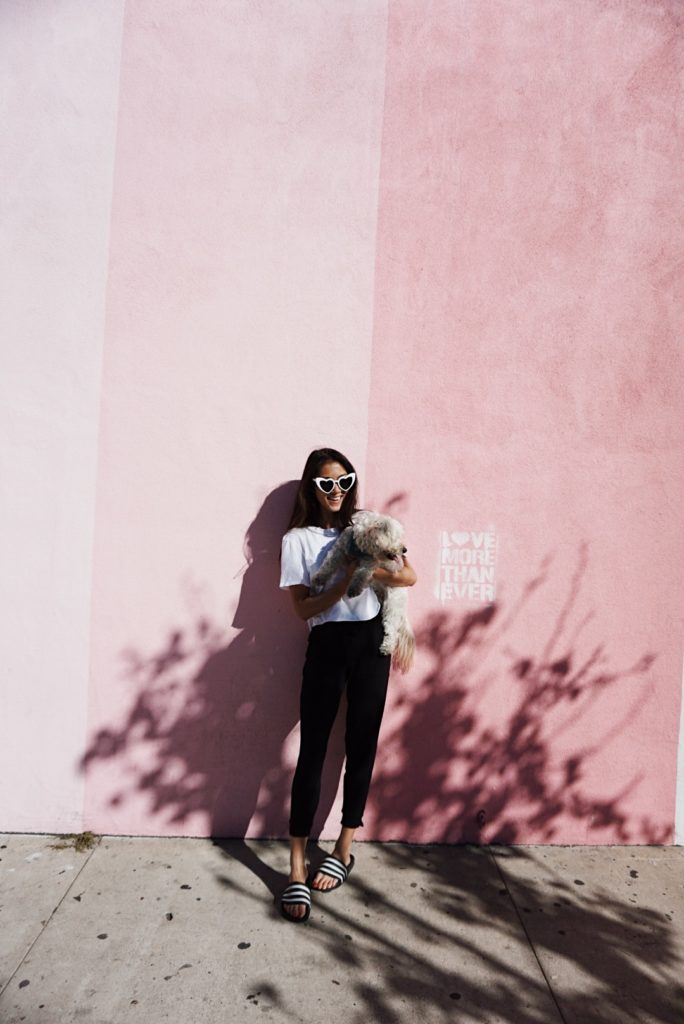 woman with her dog leaning on a pink wall for 72 Hours in San Diego