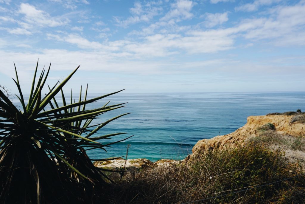 hill overlooking the ocean