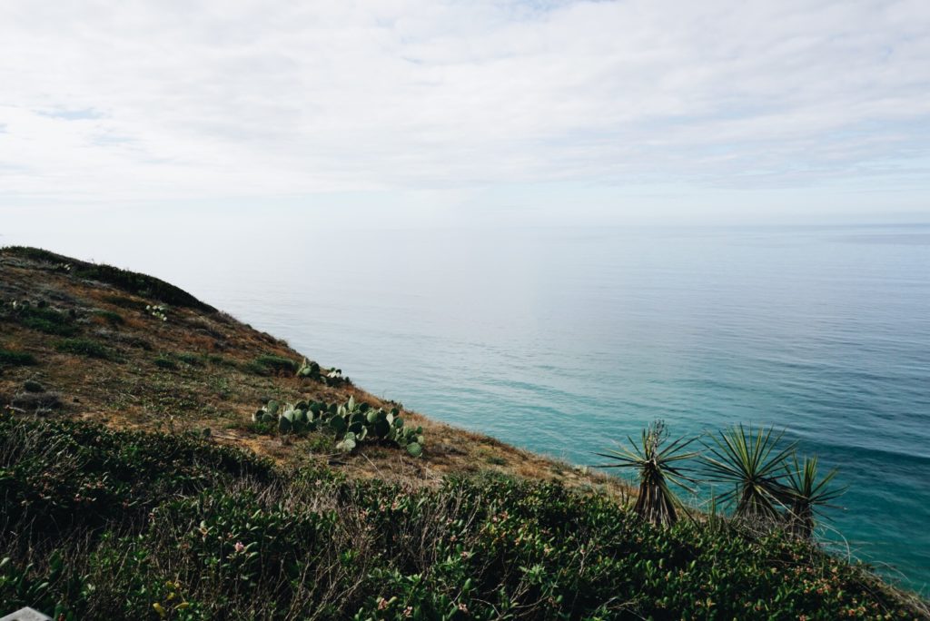 hill overlooking the ocean