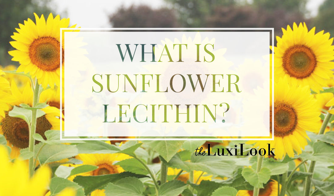 Is lecithin the same as sunflower lecithin