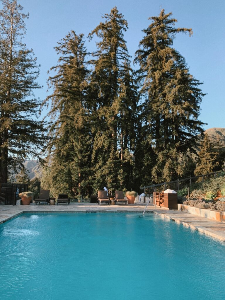 swimming pool surrounded by trees 